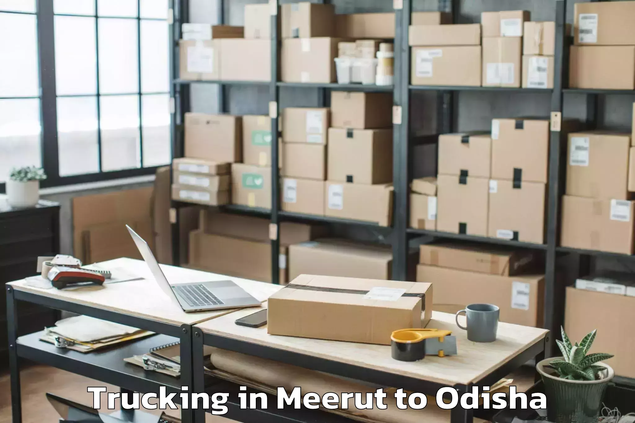 Book Meerut to Daspalla Trucking Online